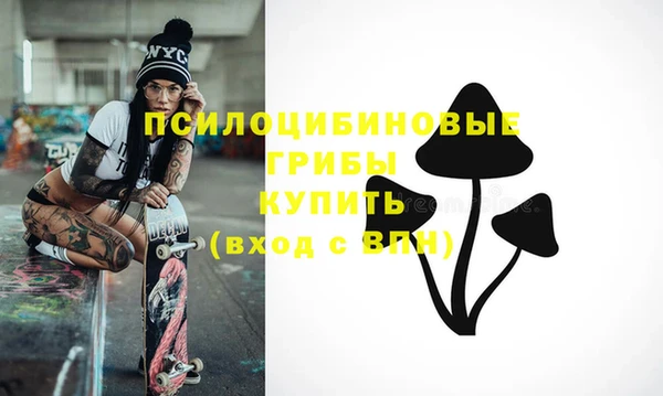 винт Касимов