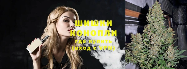 винт Касимов
