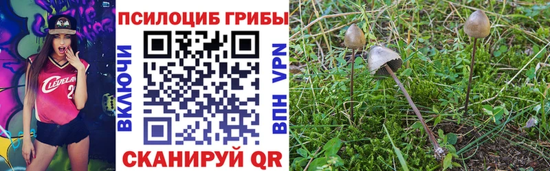 Купить где  Ялуторовск  Псилоцибиновые грибы мицелий 